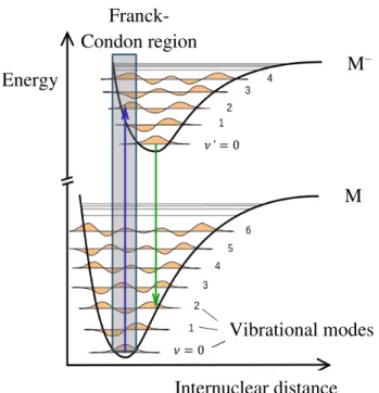 Figure 2.3 - Born-Oppenheimer potential energy curves for a molecule in the ground state (M) and its  electronically excited state (M – )