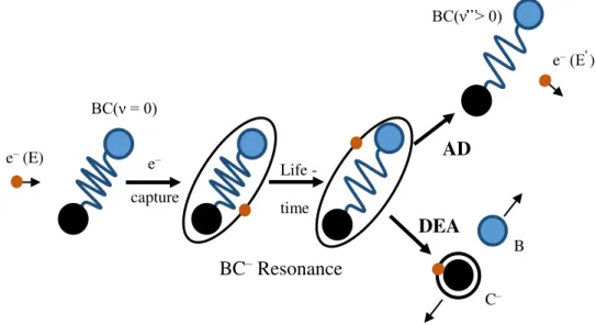 Figure 2.4 - Dynamics of Autodetachment (AD) and dissociative attachment (DEA) in electron- electron-molecule scattering through resonances