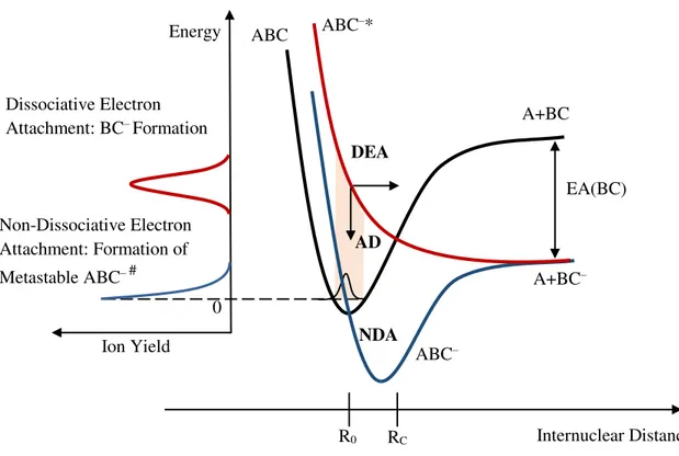 Figure 2.5 - Schematics of a potential curve for low energy electron interactions with a molecule  ABC