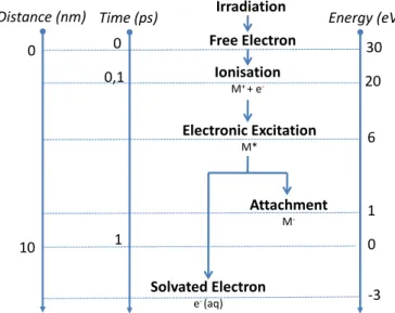 Figure 2.1: Thermalization of electrons after being created by interaction of high energy quanta with the physiological medium: energy, time and space scales [1]