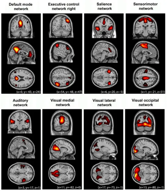 Figure 2.2: Resting-State networks [38]