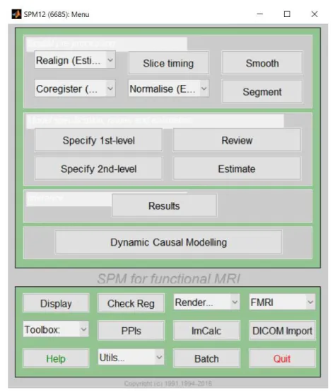 Figure 3.3: SPM layout 3.3.1.1 Model specification