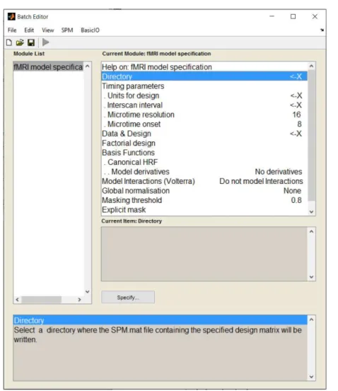 Figure 3.4: fMRI model specification