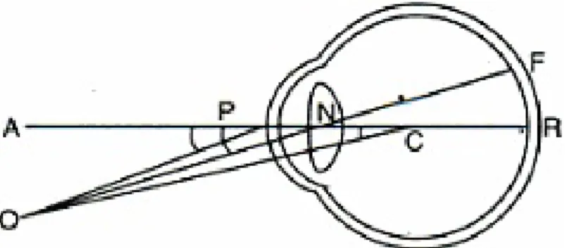 Figure 2.2: Optical axes of the eye and important angles: [AR] - optical axis; [OF] - visual axis;