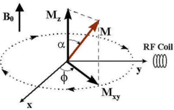 Figure 3.1 – The magnetization M precesses around the z axis with the angle  α , and it  is divided into the longitudinal component, M z  and the transverse component M xy 