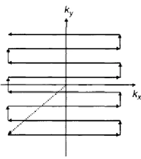Figure 3.2 – Graphic of EPI k9space coverage order during one TR (40). 
