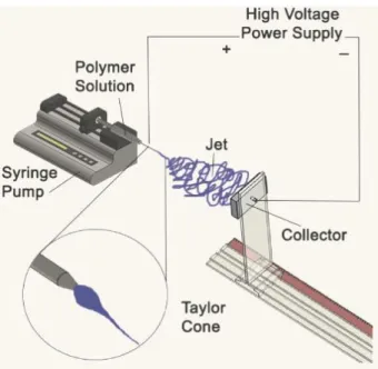 Figure 2.1 - Schematic diagram of a conventional electrospinning setup (adapted from  [27]) 