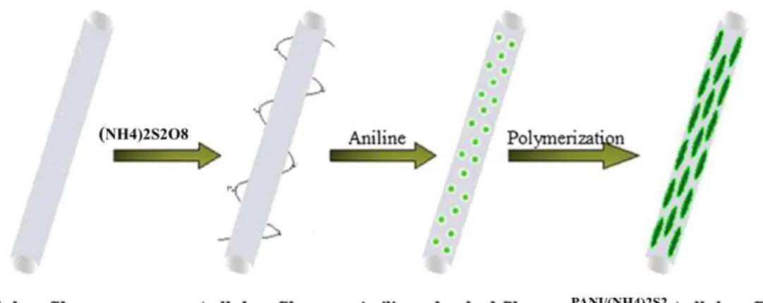 Figure 2.2 – Schematic of the preparation procedure of PANI functionalized  cellulose  nanofibers (adapted from [19])  