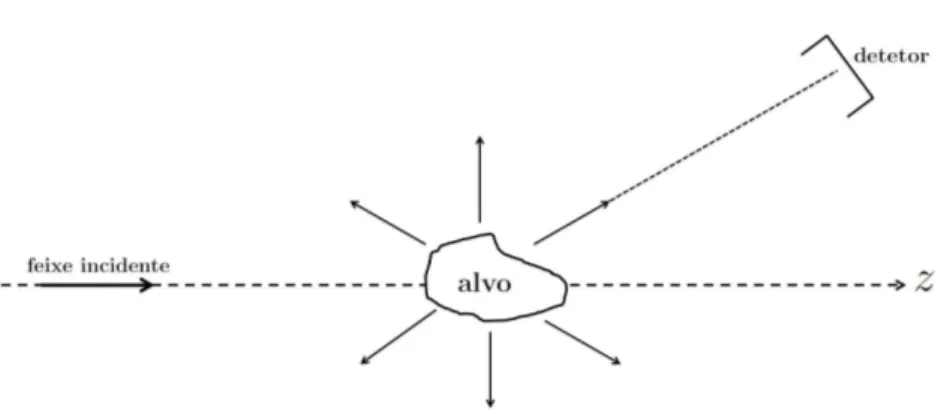 Figura 2.1: Representação de um processo de colisão assim, as seções de choque são funções dos mesmo parâmetros.