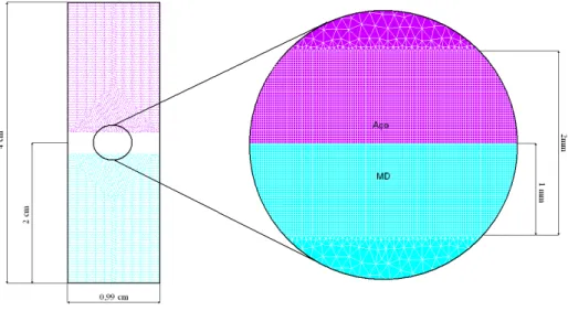 Figura 18 - Malha e dimensões dos provetes e das zonas de malha refinada 