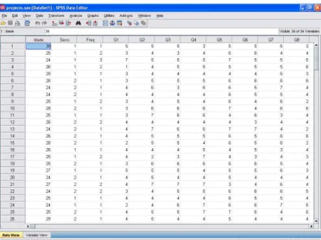 Figura 6.1 - Importação de dados do Microsoft Excel para o SPSS [Fonte: SPSS] 