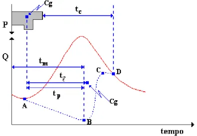 Figura 3- Hidrograma típico.
