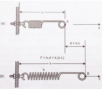 Figura 2.9 Tração de uma mola: a) mola em posição de equilíbrio; b) mola deformada com força aplicada  F retirada de [8] 
