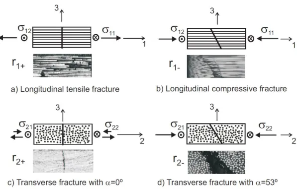 Figure 2.8 - &#34;Fracture surfaces and corresponding internal variables&#34; [18] 