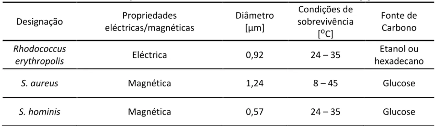 Tabela 2.2  –  Propriedades das células bacterianas utilizadas nos ensaios [5].  Designação  Propriedades  eléctricas/magnéticas  Diâmetro [µm]  Condições de  sobrevivência  [ ᴼ C]  Fonte de Carbono  Rhodococcus 