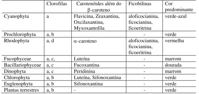 Tabela 1: Distribuição de pigmentos nos diferentes grupos de organismos que fazem  fotossíntese e desprendem oxigênio (Adaptado de Oliveira, 2003 e Richardson, 1996) 