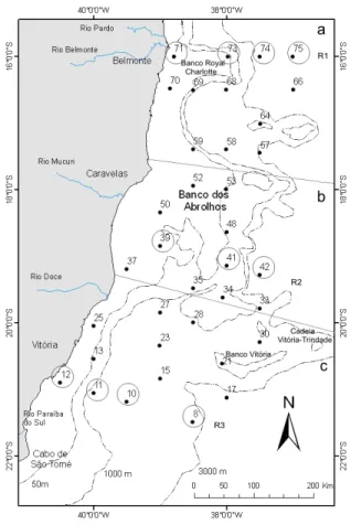 Figura  2: Distribuição  das estações  de coleta para  o estudo do fitoplâncton. As  estações marcadas com  pontos  sólidos  foram  utilizadas  para  o  estudo  qualitativo  do  microfitoplâncton  e  as  três  radiais  (R)  assinaladas com grandes círculos