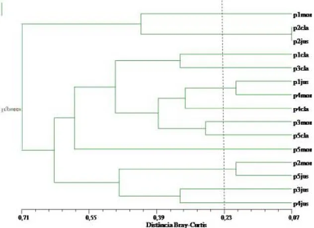 Figura 1.  Dendrograma de dissimilaridade entre os pontos de maior luminosidade, clareiras (cla) e de menor luminosidade,  montante (mon), jusante (jus) em igarapés (p) da Amazônia Central