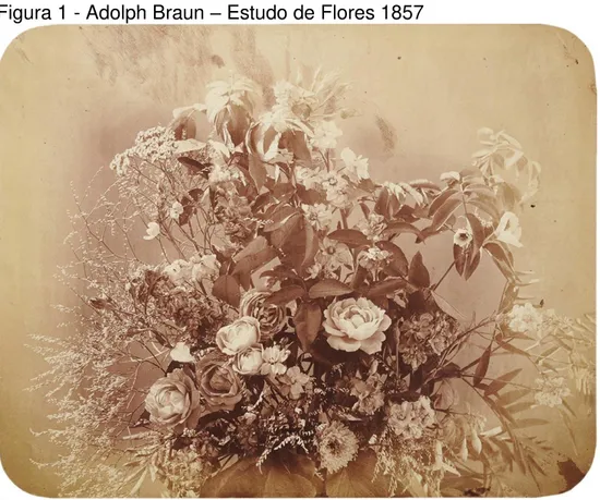 Figura 1 - Adolph Braun  –  Estudo de Flores 1857 