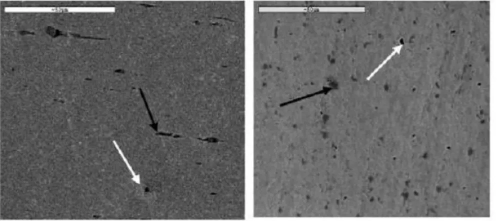 Figure 1.19 - Longitudinal section of a ProFile file and cross-section of a Flexmaster file  on the left and right images respectively [18]