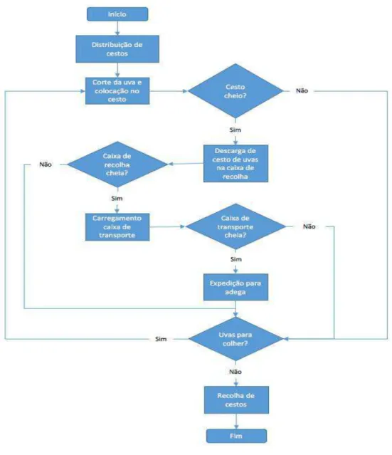 Figura 3.10 - Fluxograma do processo de vindima manual 