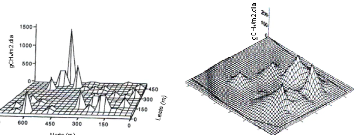 Figura II.31. Mapeamento 3D das emissões de CH 4  em todo o aterro (Czepiel et. al.,  1996 e Morris et