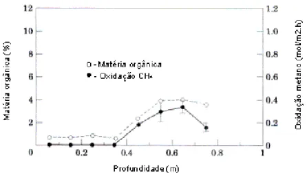 Figura II.33. Variação da taxa de oxidação e teor de matéria orgânica ao longo da  profundidade da camada (Borjesson e Svensson, 1997)