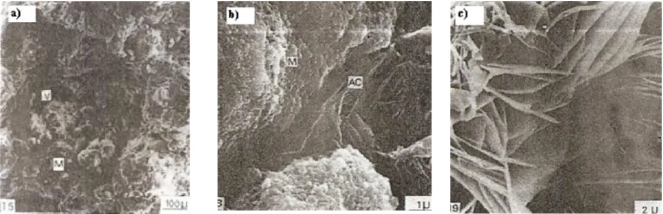 Figura 2.11 – Eletromicrografia (a) Latossolo compactado após adição de cal; (b)  Preenchimento de vazios interagregados; (c) Assembleia cristalina neoformada