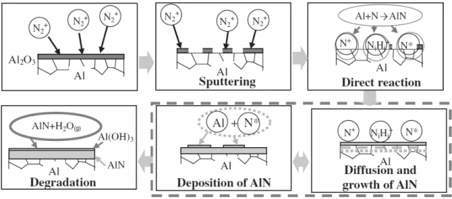 Fig. 10  –  AlN formation on the surface of pure aluminum in nitrogen-hydrogen atmosphere [7]