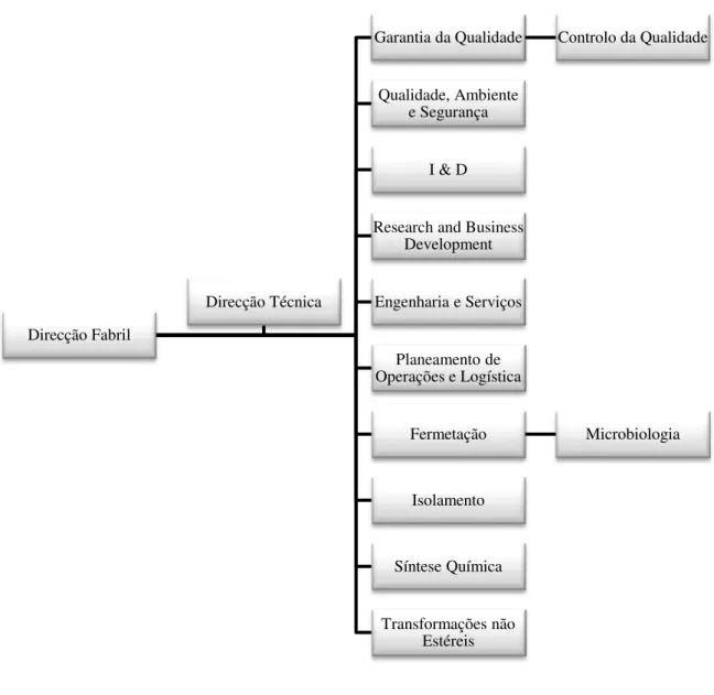 Figura 3.2 - Estrutura organizacional da Cipan 