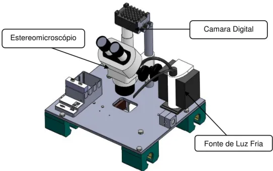 Figura 6. 17: Identificação e constituição do sistema de visualização/captação de imagem Fonte de Luz Fria Camara Digital Estereomicroscópio 