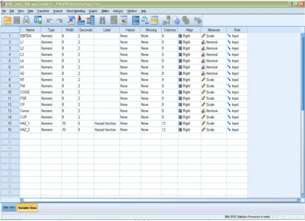 Figura 4.2 – Screen do SPSS com a natureza das variáveis 