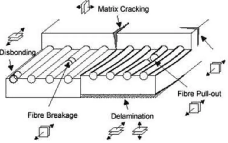 Figura 2.3 – Alguns defeitos tipicos dos materiais compósitos [18] 