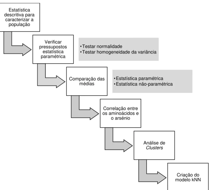 Figura 4.6 - Etapas da análise estatística dos dados, seguidas ao longo do presente estudo 