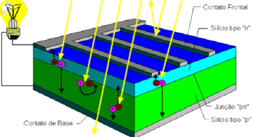 Figura 4.1 - Corte transversal de uma célula folovoltaica