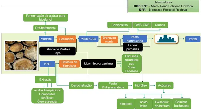 Figura 3-1 Processo do produtivo do setor da pasta, papel e cartão  Fonte: CELPA (2017) 