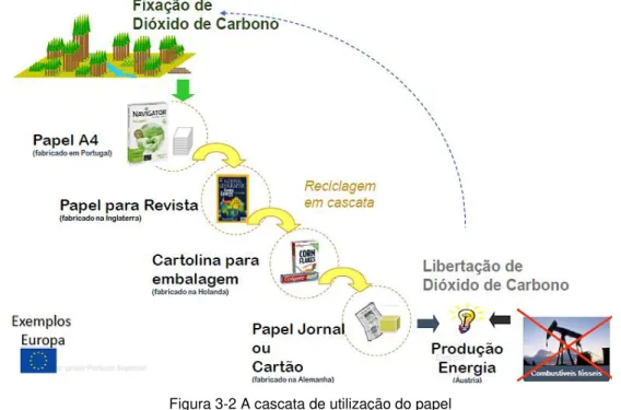 Figura 3-2 A cascata de utilização do papel  Fonte: Grupo Soporcel (2015 ) 