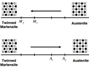 Figure 1 - Temperature-induced phase transformation of an SMA without mechanical loading [1]