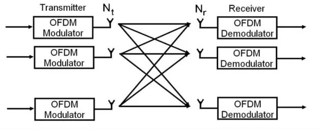 Fig 2.5- Basic structure MIMO-OFDM 