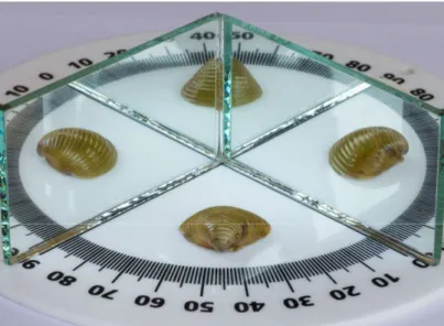 Figura 33: Associação de dois espelhos planos formando um  ângulo de 90°. 