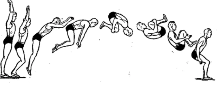 Figura 9. Tipo de acrobacia realizada por um praticante. 