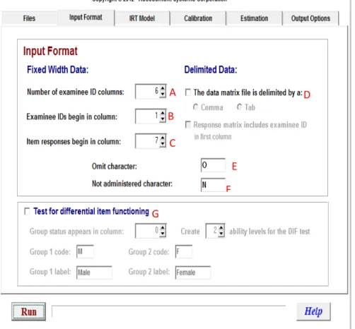 Figura 2.1  –  Opções da aba Input Format 