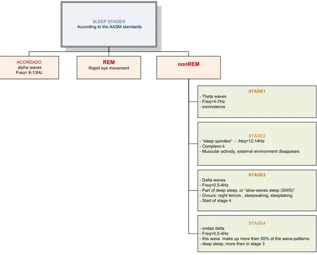 Table 2.1.1 – NREM and its four stages, according to the 2007 AASM standards 