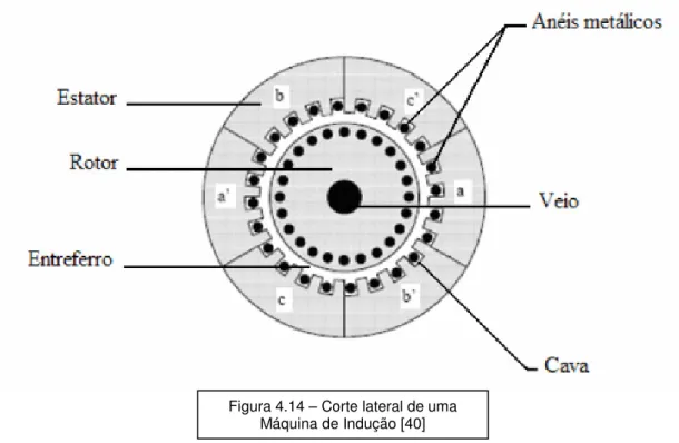 Figura 4.14 – Corte lateral de uma  Máquina de Indução [40] 