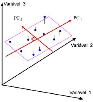 Figura 2.6: Representação gráfica do PCA.