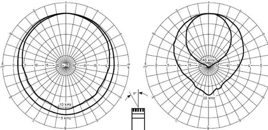 Figura 2.19 - Exemplo da Variação da Resposta de um Microfone Normalizado a 0º de 