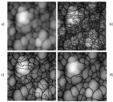 Figure 7:  Comparison between Watershed T. and GPL. a) Original  image,  b) Watershed Transform, c)  GPL  segmentation without merge, d) GPL  segmentation with merge