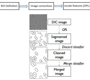 Figure 8:  GPL  process DIC stands for Differential  Interference Contrast image.  Image  taken from  FCT- FCT-UNL  Advanced Topics on Image Processing course, 2016
