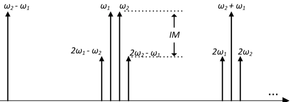 Figure 2.4: Spectrum of the output voltage with the respective intermodulation products.