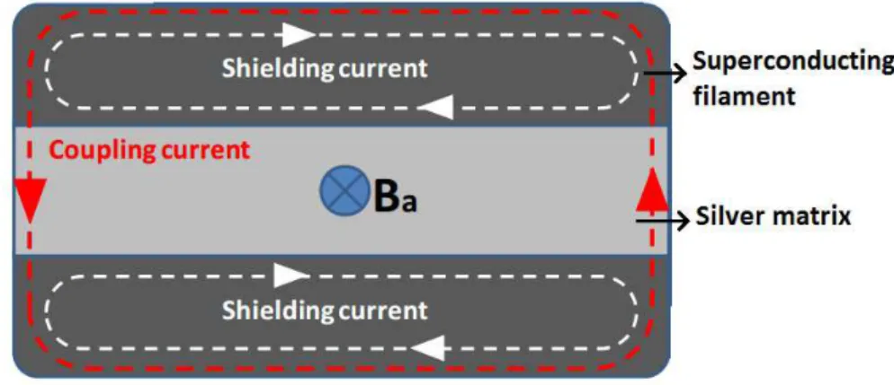 Figure 2.19. Shielding and coupling currents in a 1G HTS tape. Adapted from (Ceballos 2010)